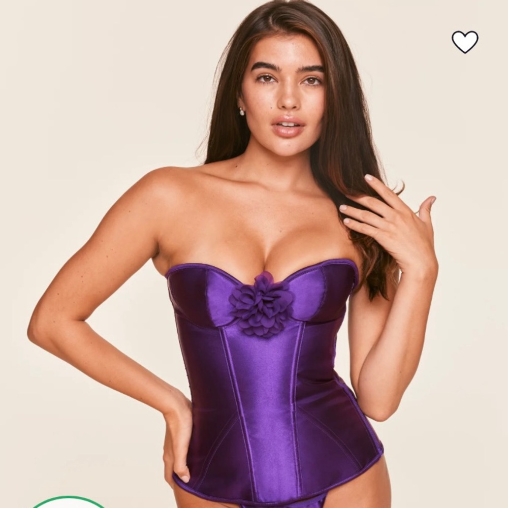 Brand new, tags on lingerie set. Corset top and thong bottom. Never worn.